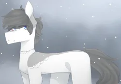 Size: 1716x1197 | Tagged: safe, artist:riressa, derpibooru import, oc, oc:winter sun, earth pony, pony, image, male, png, solo, stallion