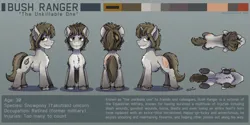 Size: 4268x2139 | Tagged: safe, artist:buckweiser, derpibooru import, oc, oc:bush ranger, unofficial characters only, pony, taiga pony, unicorn, broken horn, burn marks, chest fluff, claw marks, ear fluff, fluffy, front view, horn, horseshoes, image, jagged horn, low angle, male, overhead view, png, reference sheet, scar, side view, simple background, smiling, solo, stallion, standing, torn ear