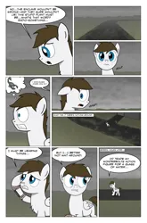 Size: 2024x3074 | Tagged: safe, artist:bruinsbrony216, derpibooru import, oc, unofficial characters only, pegasus, pony, comic:fallout equestria: grounded, fallout equestria, comic, image, png, solo
