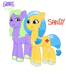 Size: 640x725 | Tagged: safe, artist:jazzhooves, derpibooru import, oc, oc:grape vine, oc:sandy, unofficial characters only, earth pony, pony, g5, my little pony: tell your tale, blaze (coat marking), coat markings, colored hooves, duo, duo female, earth pony oc, facial markings, female, hairband, image, jpeg, simple background, smiling, socks (coat marking), white background