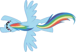 Size: 390x269 | Tagged: safe, artist:theairgonaut, derpibooru import, rainbow dash, pegasus, pony, the ticket master, .svg available, female, flying, g4, image, mare, missing cutie mark, overhead view, png, simple background, solo, spread wings, transparent background, vector, wings