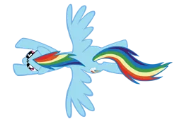 Size: 2000x1434 | Tagged: safe, artist:shayminonearth, derpibooru import, rainbow dash, pegasus, pony, the ticket master, female, flying, g4, image, mare, overhead view, png, simple background, solo, spread wings, transparent background, vector, wings