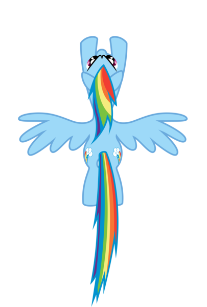 Size: 5400x8000 | Tagged: safe, artist:caliazian, artist:shayminonearth, derpibooru import, rainbow dash, pegasus, pony, .ai available, both cutie marks, female, flying, g4, image, mare, overhead view, png, simple background, solo, sound barrier, spread wings, transparent background, vector, wings