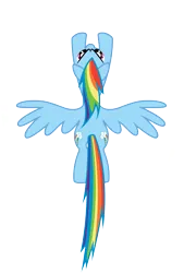 Size: 5400x8000 | Tagged: safe, artist:caliazian, artist:shayminonearth, derpibooru import, rainbow dash, pegasus, pony, .ai available, both cutie marks, female, flying, g4, image, mare, overhead view, png, simple background, solo, sound barrier, spread wings, transparent background, vector, wings