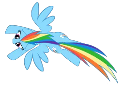Size: 4961x3508 | Tagged: safe, artist:culu-bluebeaver, derpibooru import, rainbow dash, pegasus, pony, both cutie marks, female, flying, image, mare, overhead view, png, simple background, solo, transparent background, vector