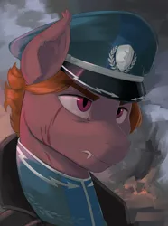 Size: 2340x3150 | Tagged: safe, artist:kelkessel, derpibooru import, oc, oc:red foam, unofficial characters only, bat pony, pony, equestria at war mod, bust, cap, clothes, fangs, hat, image, png, portrait, scar, solo