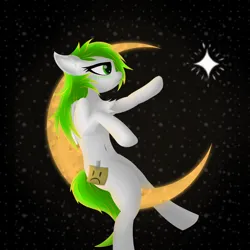 Size: 4500x4500 | Tagged: safe, artist:twinky, derpibooru import, oc, pegasus, pony, chest fluff, crescent moon, green eyes, image, moon, png, space, stars