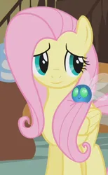 Size: 370x600 | Tagged: safe, derpibooru import, edit, edited screencap, editor:twilyisbestpone, screencap, fluttershy, parasprite, pegasus, pony, season 1, swarm of the century, cropped, cute, female, g4, image, inverted mouth, mare, png, shyabetes, smiling, solo