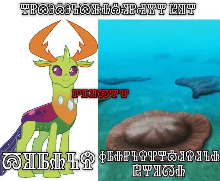 Size: 960x790 | Tagged: safe, derpibooru import, thorax, changedling, changeling, g4, glagolitic, image, interslavic, jpeg, king thorax, meme, translation