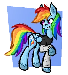 Size: 404x449 | Tagged: safe, artist:daze, derpibooru import, rainbow dash, pegasus, pony, clothes, female, g4, image, mare, png, shirt, simple background, solo, transparent background, unshorn fetlocks