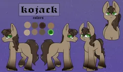 Size: 3361x1971 | Tagged: safe, artist:xxgirlscoutcookiexx, ponerpics import, oc, unofficial characters only, pony, image, jpeg, male, reference sheet