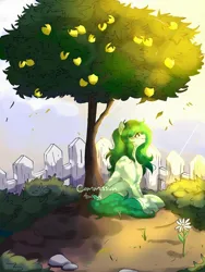 Size: 1536x2048 | Tagged: safe, artist:mikkybun, derpibooru import, wallflower blush, ponified, earth pony, pony, commission, equestria girls ponified, female, flower, food, freckles, image, jpeg, lemon, lemon tree, looking up, mare, shoulder freckles, sitting, solo, sunlight, tree