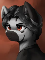 Size: 3120x4200 | Tagged: safe, artist:闪电_lightning, derpibooru import, oc, oc:zaniiaton, unofficial characters only, zebra, equestria at war mod, bust, clothes, ear fluff, image, png, portrait, solo
