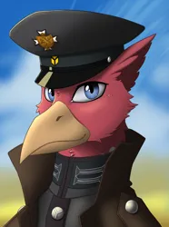 Size: 2000x2692 | Tagged: safe, artist:twotail813, derpibooru import, oc, oc:heinz featherhoff, unofficial characters only, gryphon, equestria at war mod, bust, cap, clothes, hat, image, png, portrait, solo