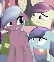 Size: 498x565 | Tagged: safe, derpibooru import, screencap, elbow grease, fleur de verre, paradise (crystal pony), sapphire joy, crystal pony, earth pony, pony, season 3, the crystal empire, female, g4, image, implied pinkie pie, looking at each other, looking at someone, mare, offscreen character, paradise (g4), png, shrunken pupils, standing, trio, unnerved