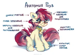 Size: 4591x3261 | Tagged: safe, artist:vanilla-chan, derpibooru import, roseluck, pony, collar, commission, commissioner:doom9454, cute, cyrillic, fluffy, image, meme, pet tag, png, ponified animal photo, pony pet, rosepet, russian, sitting, translated in the description