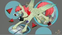 Size: 4500x2560 | Tagged: safe, artist:martazap3, derpibooru import, oc, oc:little watermelon, unofficial characters only, pegasus, pony, camera, food, image, jpeg, looking at you, male, photo, photographer, photos, portal, running, smiling, smiling at you, solo, watermelon, wings