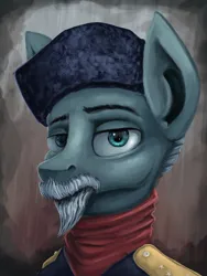Size: 3096x4128 | Tagged: safe, artist:ryanmandraws, derpibooru import, oc, oc:pyotr luchnikov, unofficial characters only, pony, equestria at war mod, beard, bust, clothes, facial hair, hat, image, moustache, png, portrait, solo