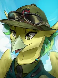 Size: 1560x2100 | Tagged: safe, artist:egil, derpibooru import, oc, oc:tempest galefringe, unofficial characters only, hippogriff, equestria at war mod, bust, clothes, hat, image, military uniform, necktie, png, portrait, solo, sunglasses, uniform