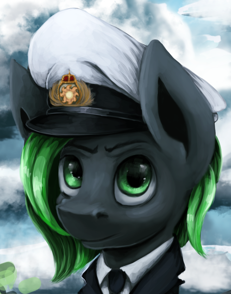 Size: 2200x2800 | Tagged: safe, artist:ryanmandraws, derpibooru import, oc, oc:ryan celer, unofficial characters only, pegasus, pony, equestria at war mod, admiral, bust, cap, clothes, hat, image, military uniform, png, portrait, solo, sun, uniform