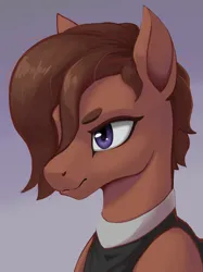 Size: 3060x4100 | Tagged: safe, artist:printik, derpibooru import, oc, oc:zahra al malik, unofficial characters only, horse, saddle arabian, equestria at war mod, bust, clothes, image, png, portrait, solo