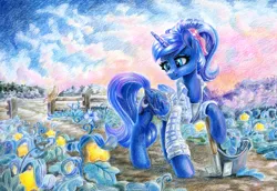 Size: 1724x1186 | Tagged: safe, artist:maytee, derpibooru import, princess luna, alicorn, pony, alternate hairstyle, clothes, farm, field, g4, image, png, ponytail, shirt, shovel, solo, stars, traditional art