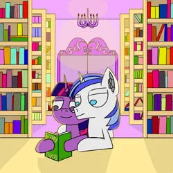 Size: 1500x1500 | Tagged: safe, artist:icycrymelon, derpibooru import, shining armor, twilight sparkle, pony, unicorn, book, bookshelf, brother and sister, duo, duo male and female, female, g4, horn, image, library, male, png, sibling love, siblings, smiling