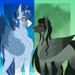 Size: 2048x2048 | Tagged: safe, artist:inisealga, derpibooru import, oc, oc:neva fae, oc:soaring spirit, unofficial characters only, kelpie, pony, chest fluff, coat markings, duo, duo male and female, facial markings, female, glasses, image, jpeg, male, mare, markings, multicolored hair, multicolored mane, multicolored tail, neck fluff, oc x oc, shipping, socks (coat marking), stallion, tail, three toned wings