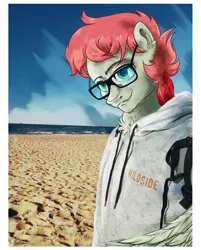 Size: 2286x2848 | Tagged: safe, artist:nazalik, derpibooru import, sunny starscout, oc, oc:arbuzik, unofficial characters only, anthro, pegasus, pony, g5, beach, beauty, bicycle, chest fluff, clothes, complex background, delight, drawover, ear fluff, glasses, image, looking at you, male, ocean, photo, png, sand, smiling, smiling at you, solo, stallion, water, wings