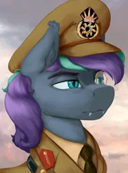 Size: 1560x2100 | Tagged: safe, artist:kelkessel, derpibooru import, oc, oc:grand wingsword, unofficial characters only, pony, equestria at war mod, bust, cap, clothes, fangs, hat, image, military uniform, necktie, png, portrait, solo, sun, uniform