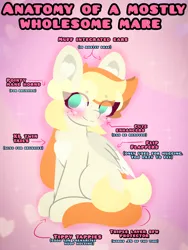 Size: 4096x5461 | Tagged: safe, artist:sodapop sprays, derpibooru import, oc, oc:sodapop sprays, unofficial characters only, pegasus, pony, anatomy chart, anatomy guide, chart, chest fluff, ear fluff, freckles, image, meme, png, sitting, solo