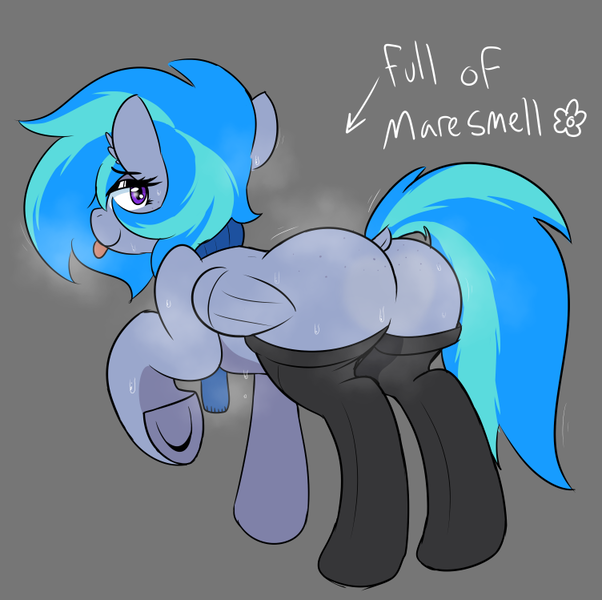 Size: 752x749 | Tagged: suggestive, artist:dowa, ponerpics import, oc, oc:snowy peaks, unofficial characters only, pony, butt, clothes, female, image, mare, musk, musky butt, png, raised hoof, raised tail, socks, sweat, sweaty ass, sweaty butt, tail, text, tongue out