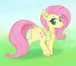 Size: 1517x1318 | Tagged: safe, artist:colossalstinker, derpibooru import, fluttershy, pegasus, pony, butt, cute, dock, female, flutterbutt, g4, grass, image, looking back, mare, png, shyabetes, solo, tail, tail aside, walking