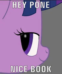 Size: 600x720 | Tagged: safe, artist:k. dale, derpibooru import, twilight sparkle, pony, unicorn, g4, gray background, head only, image, looking at you, meme, png, simple background, solo, text, unicorn twilight
