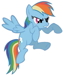 Size: 5000x5939 | Tagged: safe, artist:stricer555, derpibooru import, rainbow dash, pegasus, pony, belly, female, g4, image, mare, png, simple background, solo, transparent background, vector
