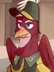 Size: 520x700 | Tagged: safe, artist:bunnyshrubby, derpibooru import, oc, oc:joseph boreas van vorst tot vorst, unofficial characters only, gryphon, equestria at war mod, bust, clothes, griffon oc, hat, image, military uniform, png, portrait, solo, uniform