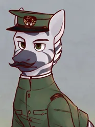 Size: 520x700 | Tagged: safe, artist:bunnyshrubby, derpibooru import, oc, oc:zarvad orzagid, unofficial characters only, zebra, equestria at war mod, bust, cap, clothes, facial hair, hat, image, military uniform, moustache, png, portrait, solo, uniform, zebra oc