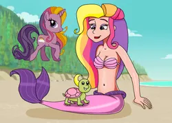 Size: 1064x760 | Tagged: safe, artist:ocean lover, derpibooru import, edit, edited screencap, screencap, human, mermaid, turtle, unicorn, animal love, background edit, bare shoulders, beach, beautiful, beautiful hair, belly button, bra, clothes, cloud, curvy, cute, dot eyes, female, fins, fish tail, g4, horn, hourglass figure, human coloration, humanized, image, light skin, lips, long hair, looking at each other, looking at someone, mermaid tail, mermaidized, mermay, midriff, ms paint, multicolored hair, ocean, outdoors, png, pretty, purple eyes, rainbow flash (g4), rainbow hair, sand, seashell, seashell bra, sitting, sky, sleeveless, smiling, smiling at each other, species swap, tail, tail fin, tree, underwear, water