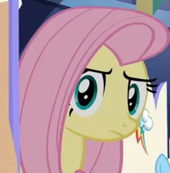 Size: 365x371 | Tagged: safe, derpibooru import, edit, screencap, fluttershy, rainbow dash, pegasus, pony, castle sweet castle, concerned, g4, image, jpeg, looking at you, rainbow dash's cutie mark, solo, staring at you, staring into your soul, twilight's castle