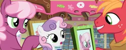 Size: 2687x1080 | Tagged: safe, composite screencap, derpibooru import, edit, edited screencap, screencap, big macintosh, cheerilee, sweetie belle, earth pony, pony, unicorn, hearts and hooves day (episode), g4, horn, image, photos, png, smiling, sugarcube corner