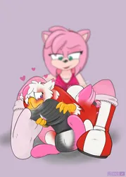Size: 1622x2271 | Tagged: safe, artist:foxxy-arts, derpibooru import, oc, oc:foxxy hooves, hedgehog, hippogriff, amy rose, blushing, boots, clothes, clothing transformation, duo, duo female, female, forced perspective, headband, heart, hippogriff oc, image, inanimate tf, lidded eyes, mid-transformation, open mouth, pink background, png, shoes, simple background, socks, sonic the hedgehog (series), transformation