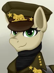 Size: 2756x3707 | Tagged: safe, artist:cofido, derpibooru import, oc, oc:golden star, unofficial characters only, pony, equestria at war mod, bust, cap, clothes, hat, image, military uniform, new california republic, png, portrait, solo, uniform