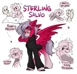 Size: 2806x2700 | Tagged: safe, artist:opalacorn, derpibooru import, oc, oc:sterling salvo, unofficial characters only, pegasus, pony, clothes, glasses, gradient legs, grin, image, jpeg, looking at you, male, map, name, simple background, smiling, smiling at you, solo focus, spread wings, stallion, sweater, text, turtleneck, white background, wings