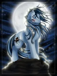 Size: 958x1280 | Tagged: safe, artist:anniemsson, derpibooru import, oc, oc:moonlight sonata, unofficial characters only, earth pony, pony, g1, 2010, backlighting, female, full moon, image, jpeg, mare, moon, night, solo