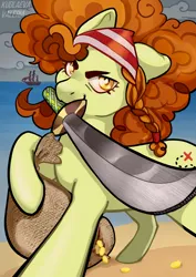 Size: 2894x4093 | Tagged: safe, artist:valeriakudlaeva, derpibooru import, oc, unofficial characters only, earth pony, pony, bandana, coin, commission, cutlass, female, gold, high res, image, jpeg, looking at you, mare, mouth hold, not adagio dazzle, pirate, sack, smiling, smiling at you, solo, sword, weapon
