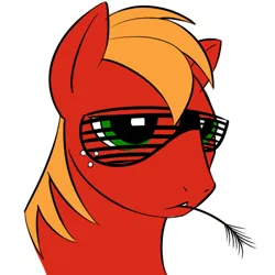 Size: 500x500 | Tagged: safe, artist:kloudmutt, derpibooru import, big macintosh, earth pony, pony, bust, hay stalk, image, jpeg, male, portrait, shutter shades, simple background, solo, stallion, sunglasses, white background