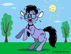 Size: 800x600 | Tagged: safe, artist:tim-kangaroo, derpibooru import, oc, oc:tympany, unofficial characters only, earth pony, kangaroo, furry to pony, glasses, image, male, necktie, png, rearing, solo, surprised, transformation