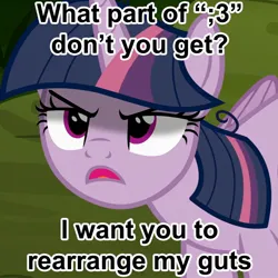 Size: 1080x1080 | Tagged: suggestive, derpibooru import, edit, edited screencap, screencap, mean twilight sparkle, twilight sparkle, alicorn, pony, the mean 6, caption, female, g4, image, image macro, jpeg, mare, solo, text