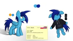 Size: 8000x4500 | Tagged: safe, artist:japkozjad, derpibooru import, oc, oc:apply, pegasus, pony, absurd resolution, clothes, heterochromia, hoodie, image, male, pegasus oc, png, reference sheet, simple background, stallion, text, white background, wings