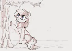 Size: 1194x857 | Tagged: safe, artist:aureai-sketches, derpibooru import, oc, unofficial characters only, earth pony, pony, chest fluff, colored sketch, ear fluff, ear piercing, earring, female, image, jewelry, jpeg, mare, piercing, sketch, solo, tree